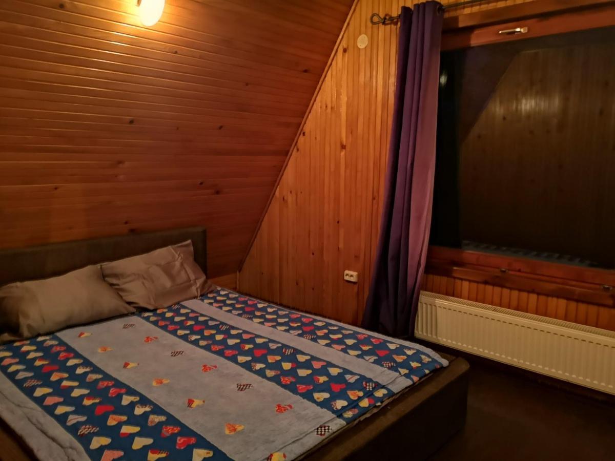 Vila Ines Sinaia Eksteriør billede