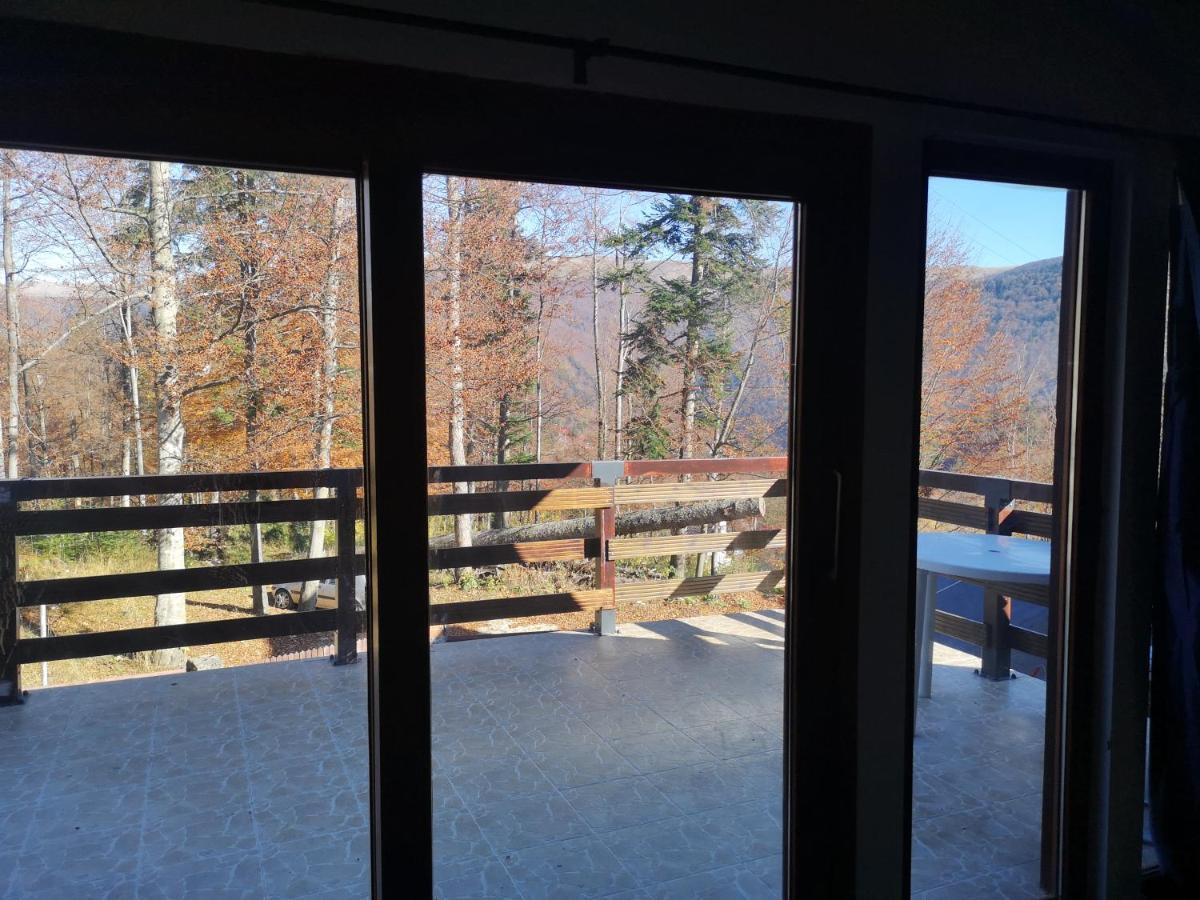 Vila Ines Sinaia Eksteriør billede