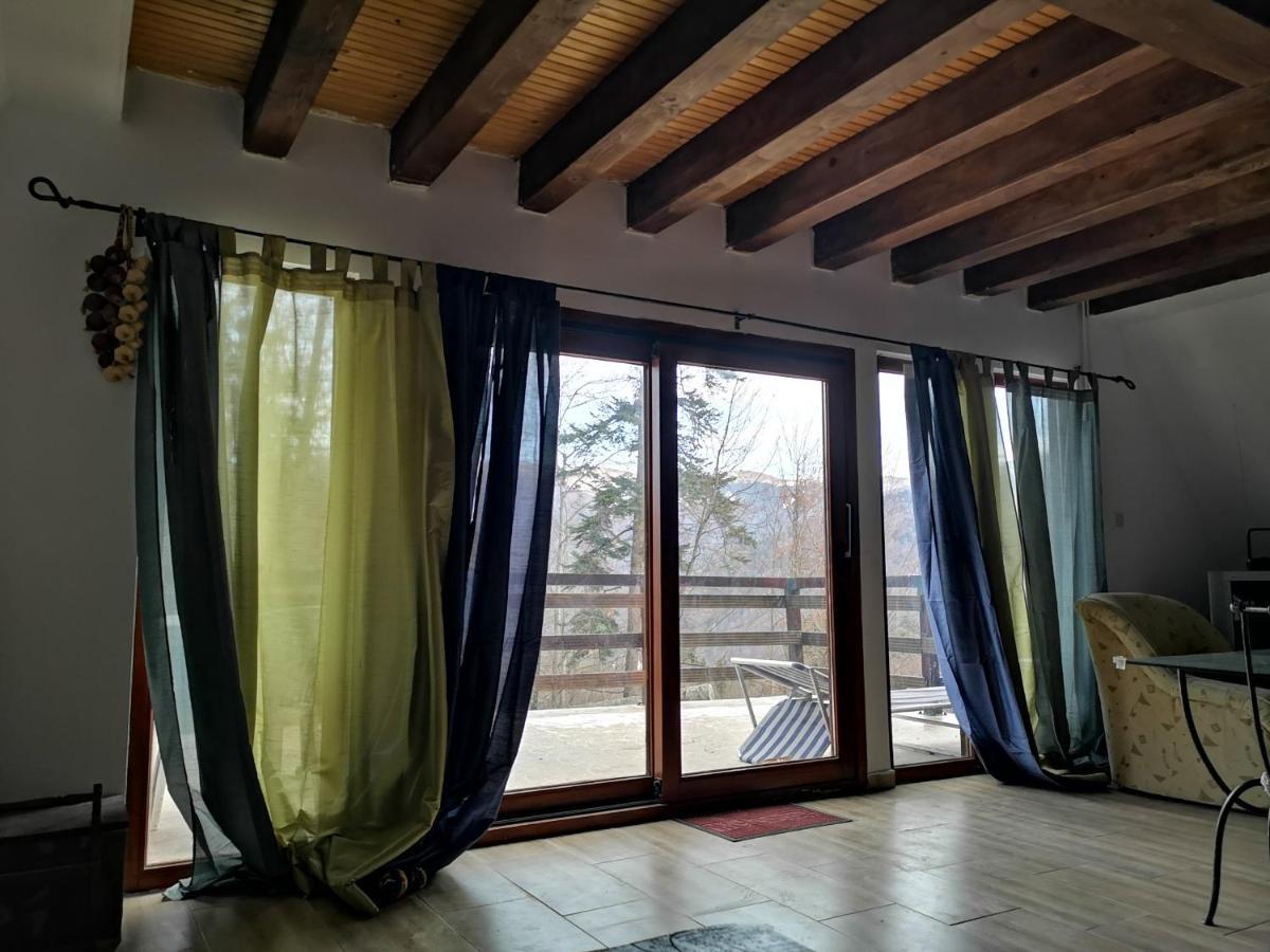 Vila Ines Sinaia Eksteriør billede