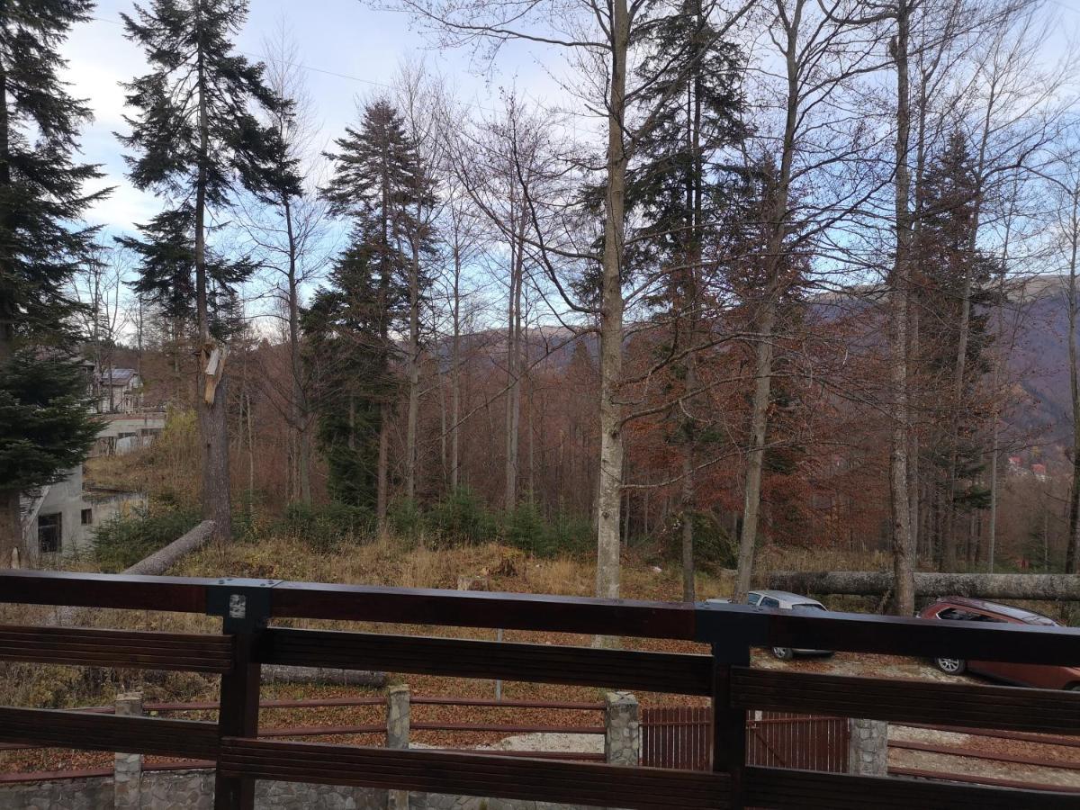 Vila Ines Sinaia Eksteriør billede