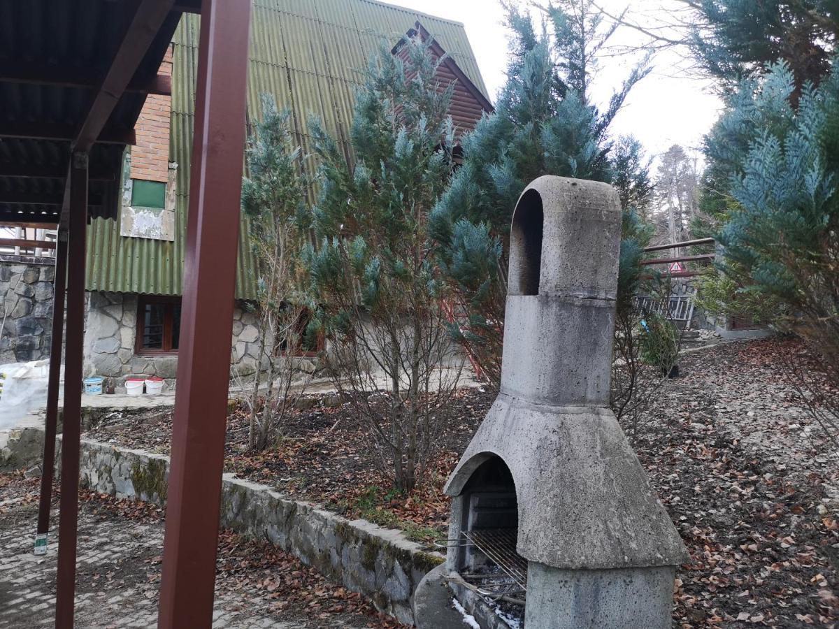 Vila Ines Sinaia Eksteriør billede