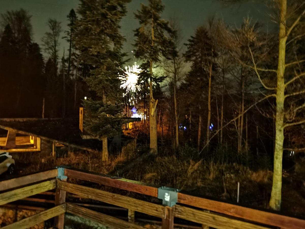 Vila Ines Sinaia Eksteriør billede