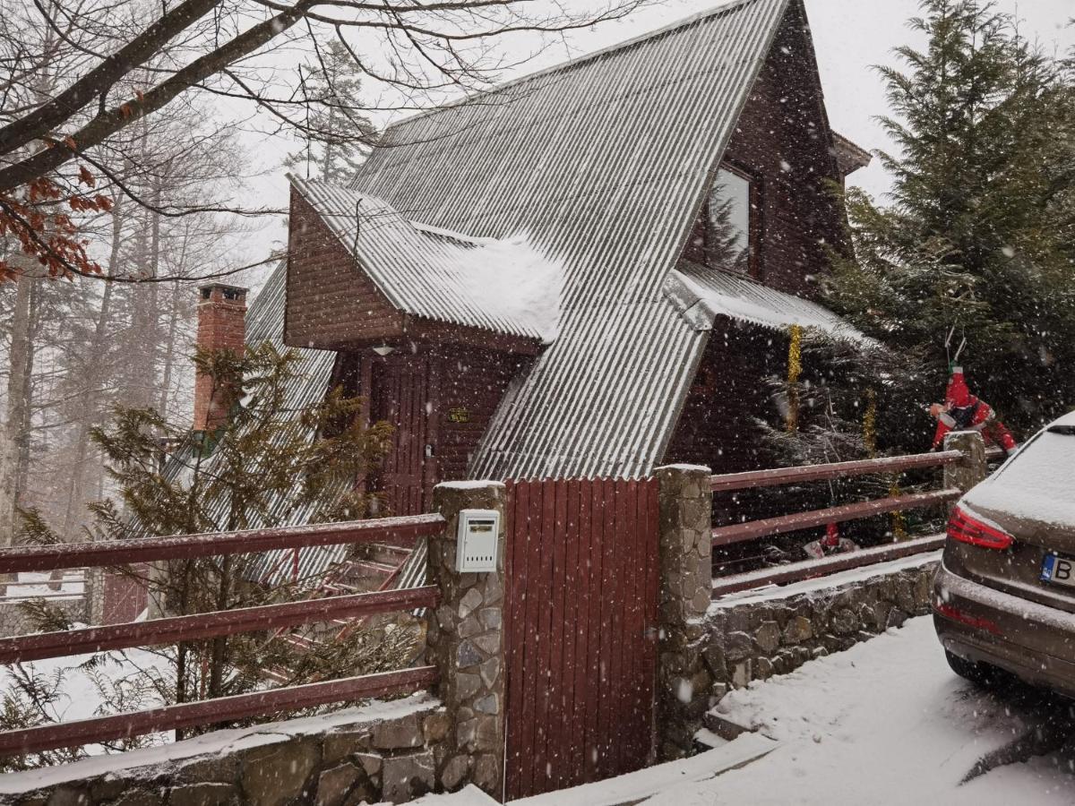 Vila Ines Sinaia Eksteriør billede