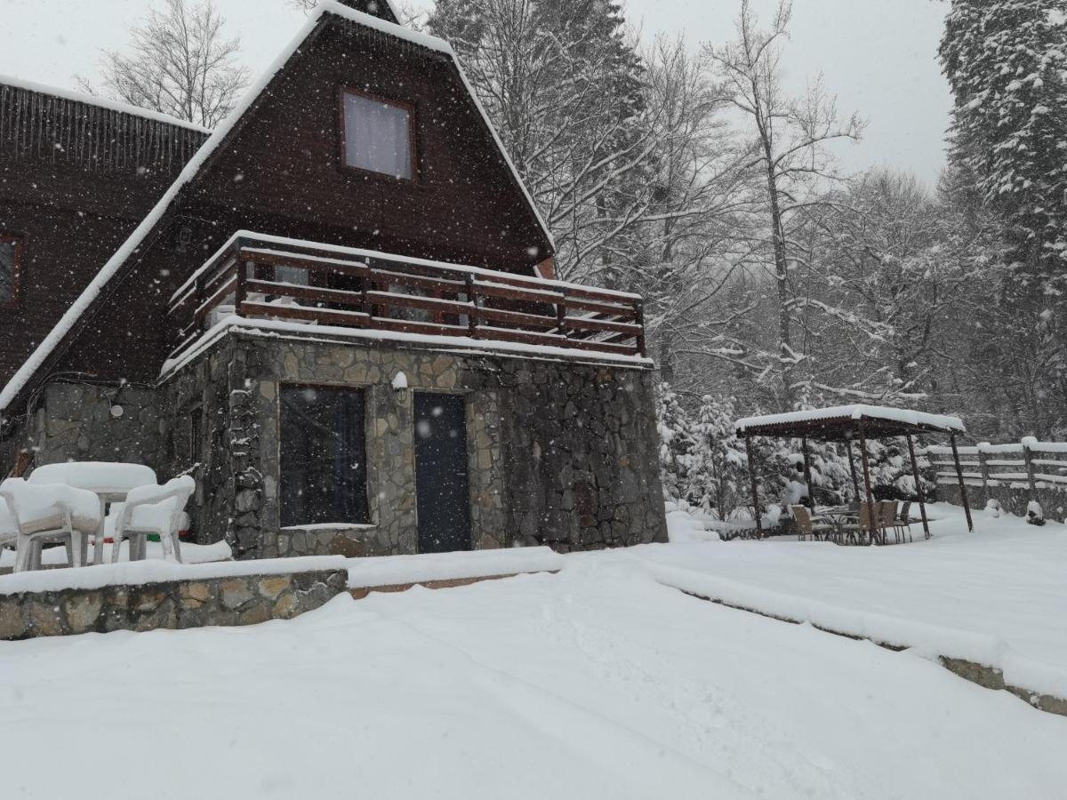 Vila Ines Sinaia Eksteriør billede